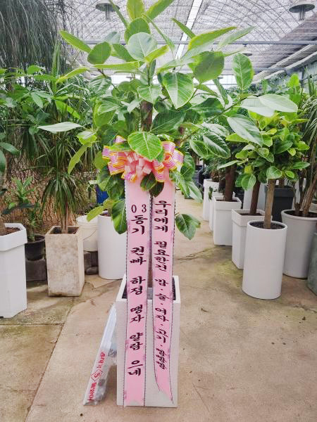 업로드 이미지
