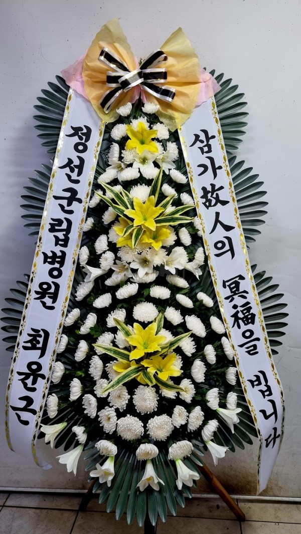 업로드 이미지