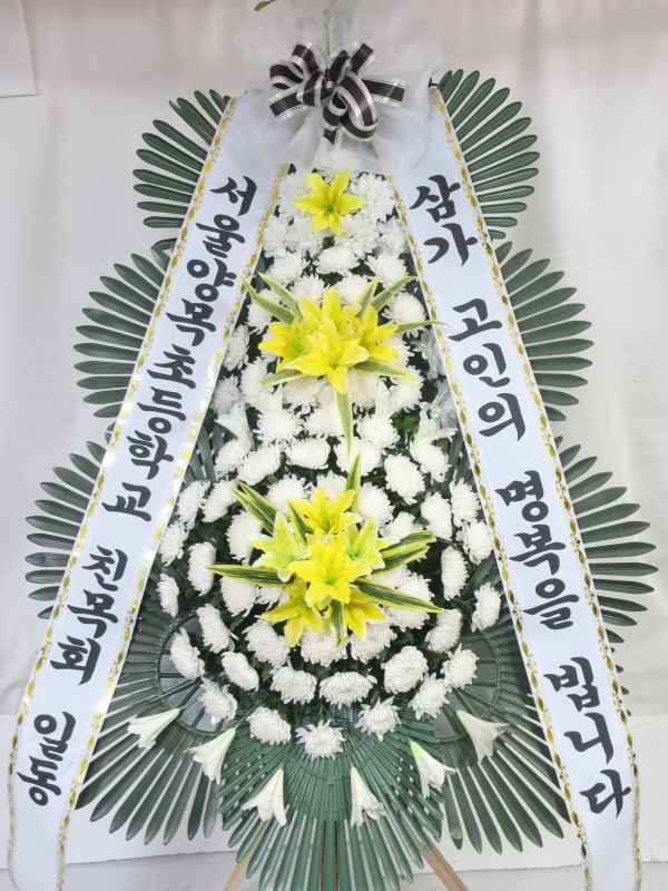 업로드 이미지