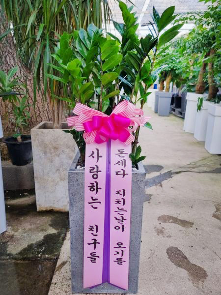 업로드 이미지