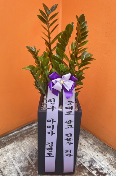 업로드 이미지