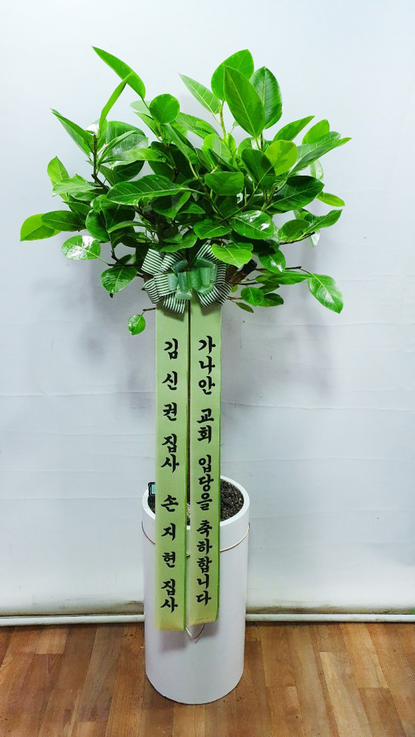 업로드 이미지