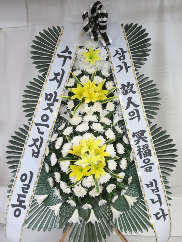 업로드 이미지