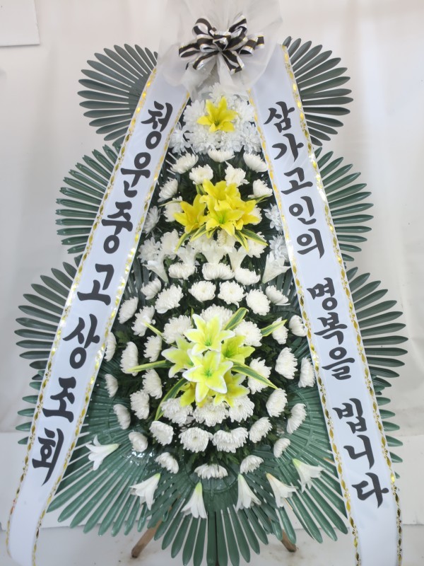 업로드 이미지