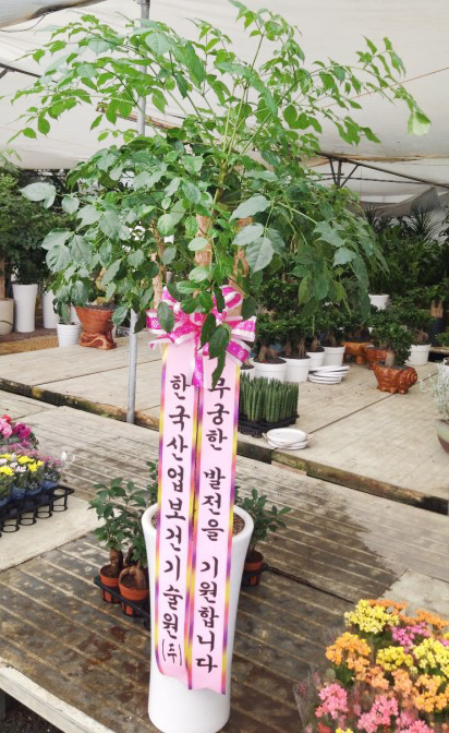 업로드 이미지