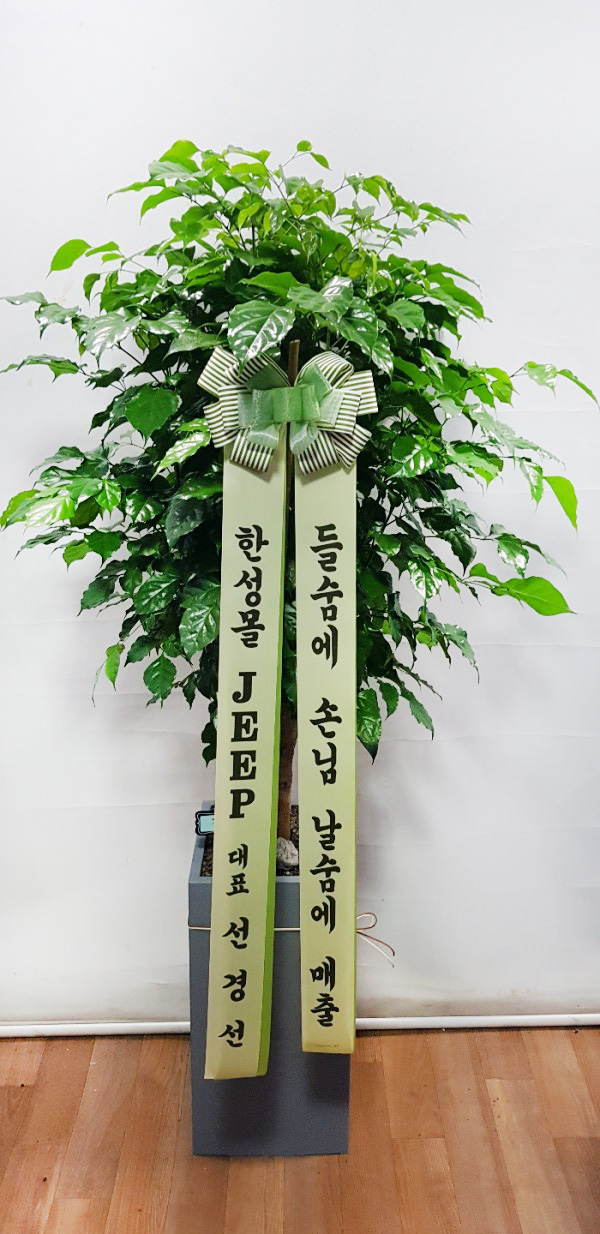 업로드 이미지