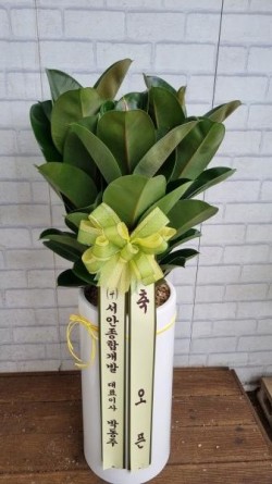배송사진