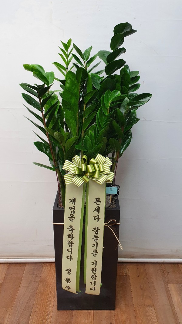 업로드 이미지