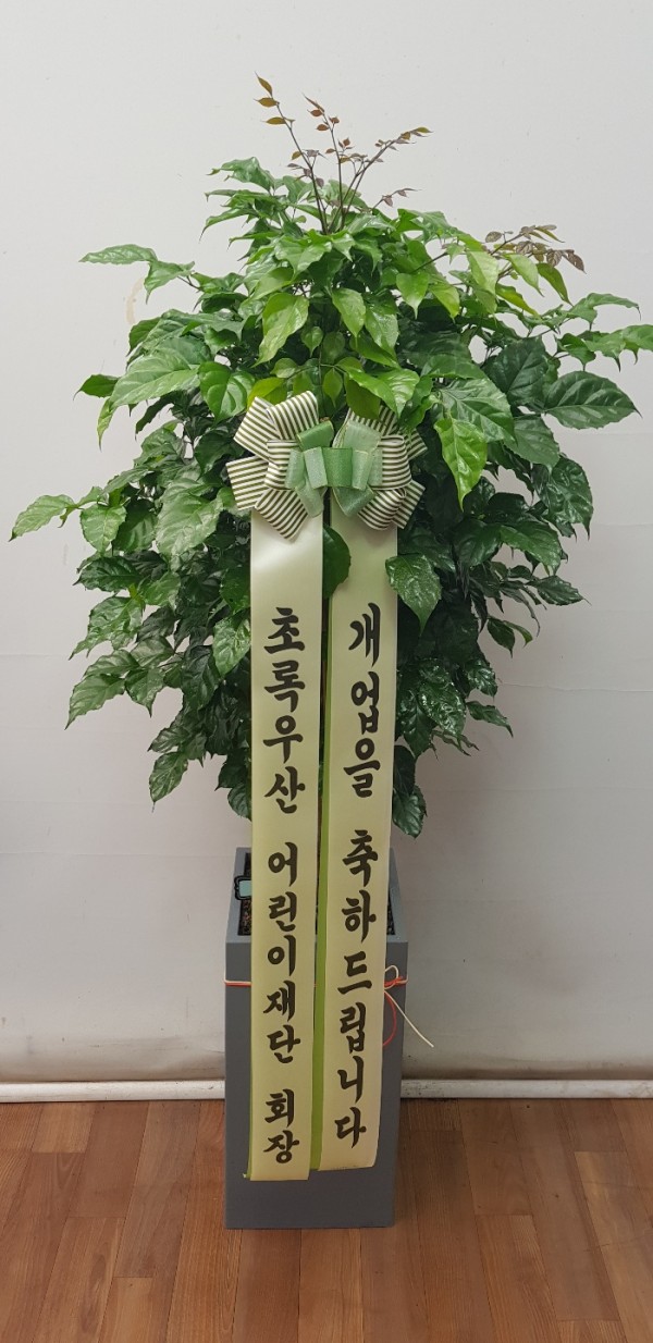 업로드 이미지