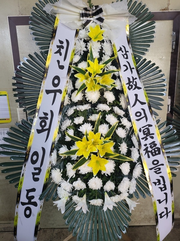 업로드 이미지