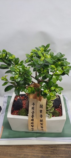 배송사진