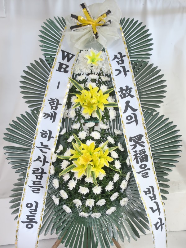 업로드 이미지