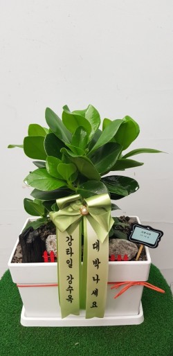 배송사진