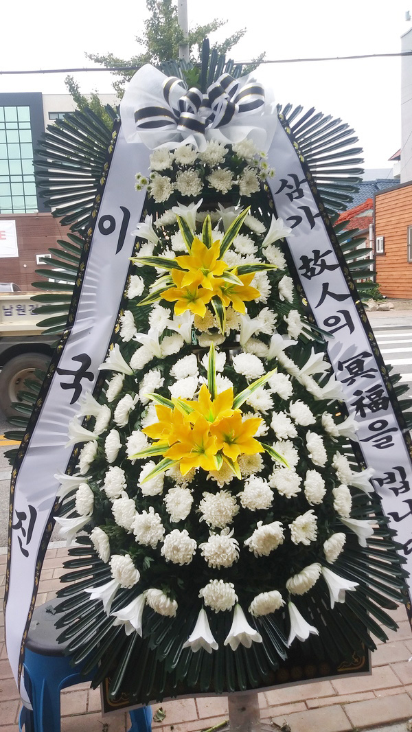 업로드 이미지