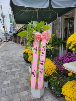 배송사진