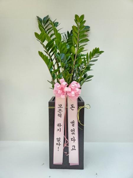 업로드 이미지