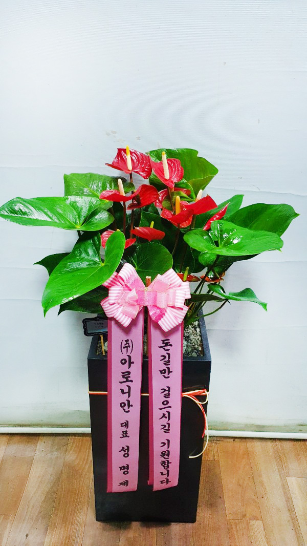 업로드 이미지