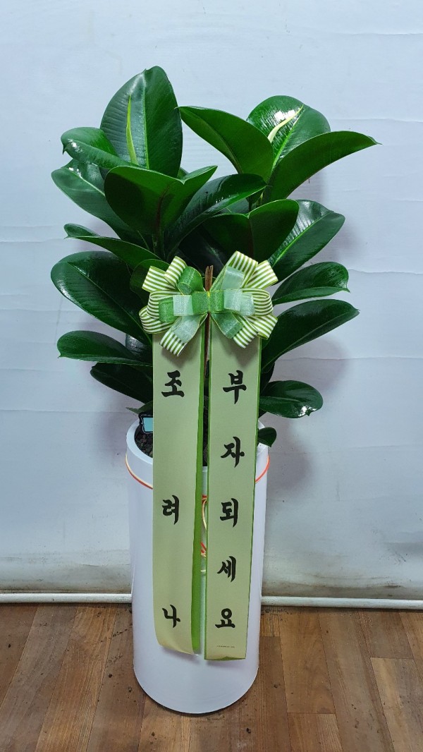 업로드 이미지
