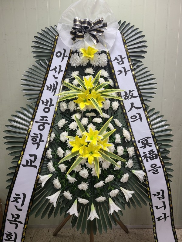 업로드 이미지