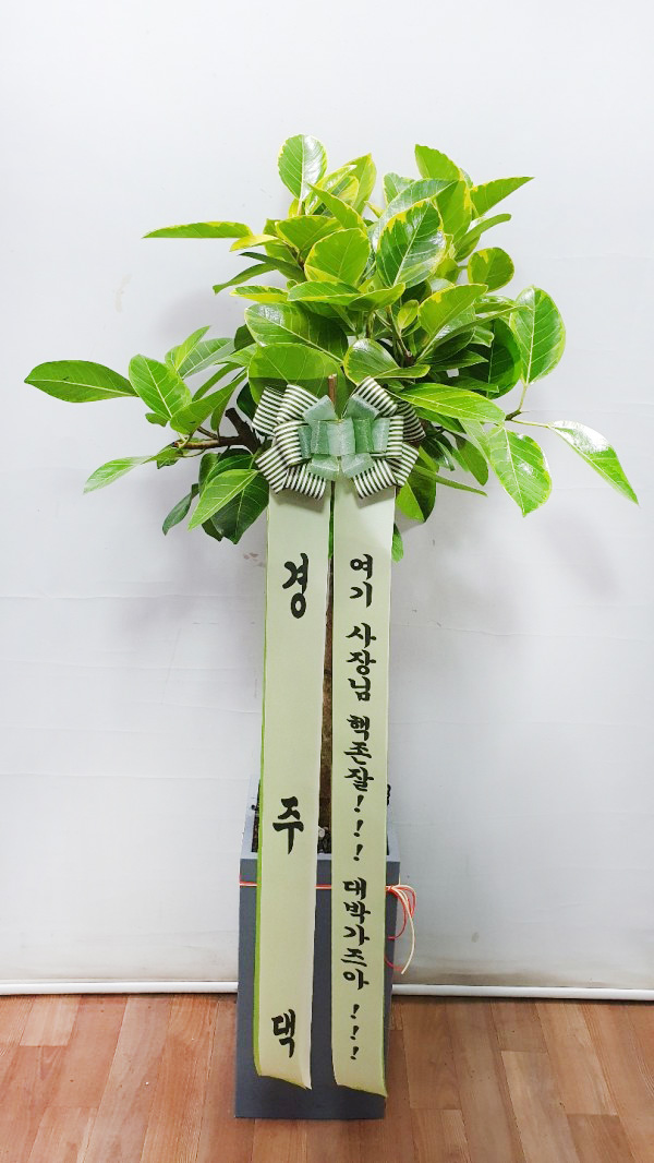 업로드 이미지