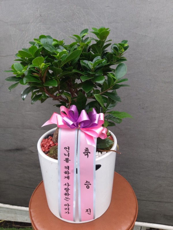 업로드 이미지