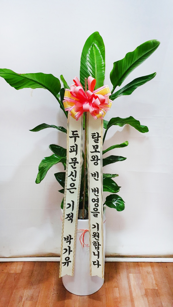업로드 이미지