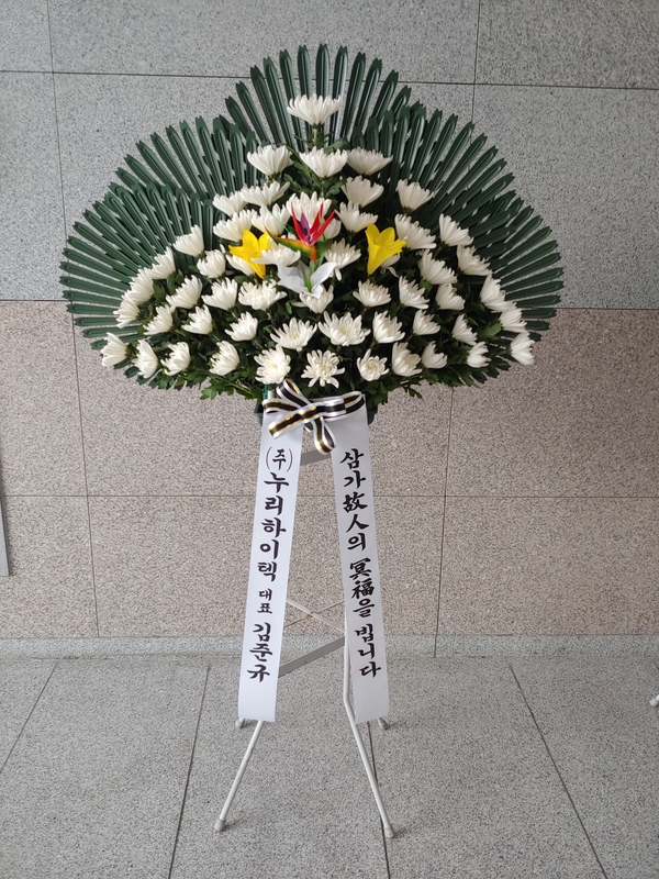 업로드 이미지