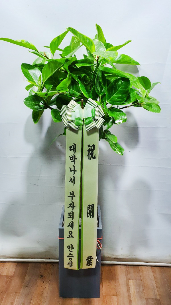 업로드 이미지