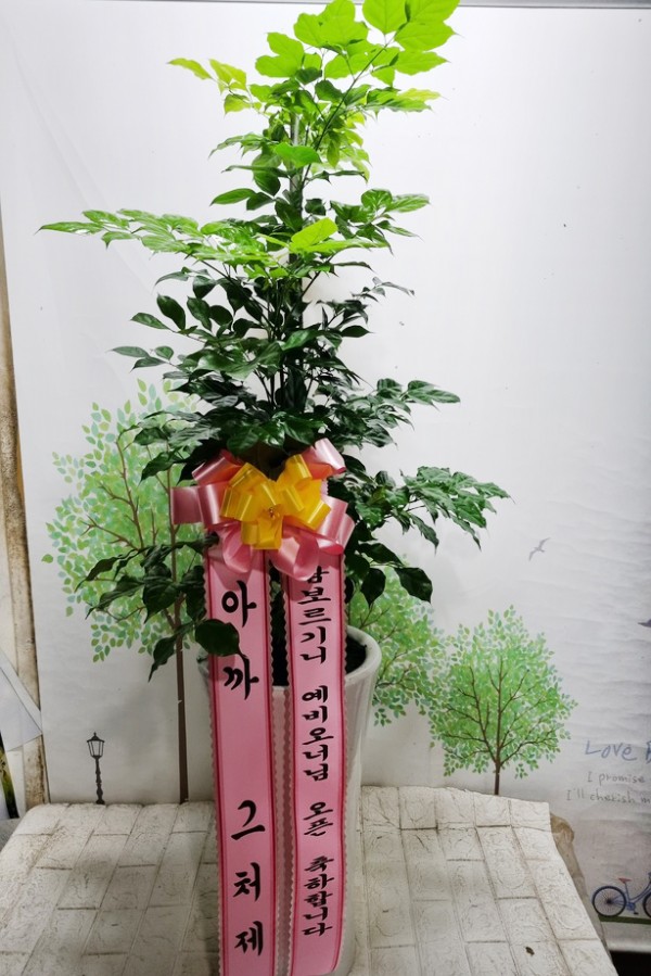 업로드 이미지