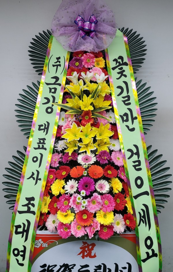 업로드 이미지