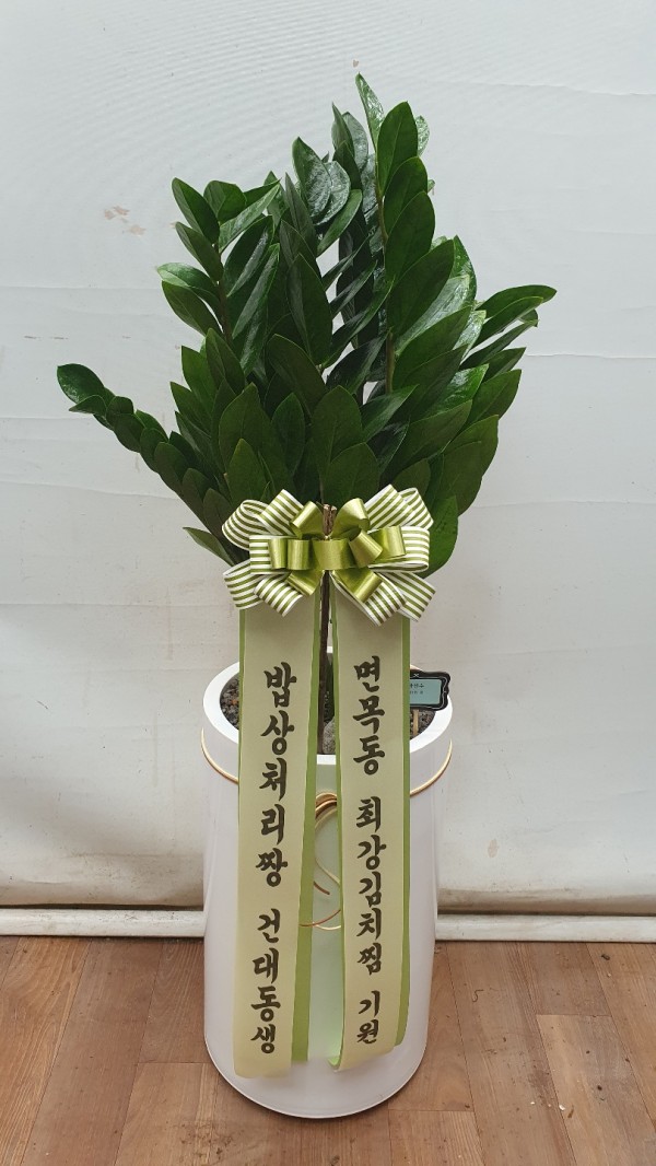 업로드 이미지