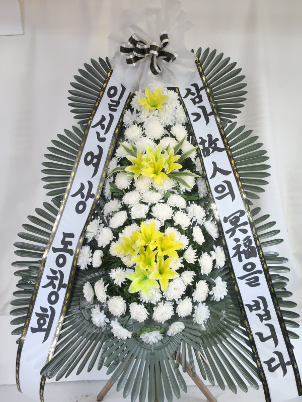 업로드 이미지