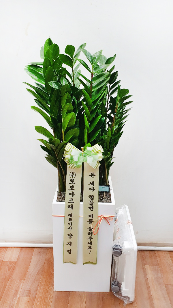 업로드 이미지