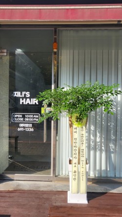 배송사진
