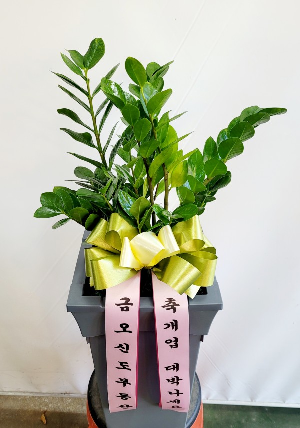 업로드 이미지