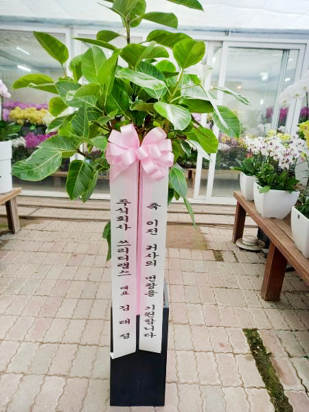 업로드 이미지