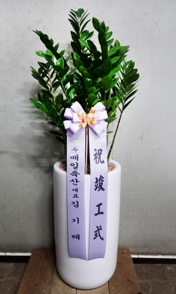 업로드 이미지