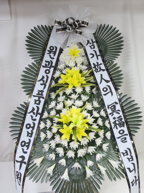 업로드 이미지