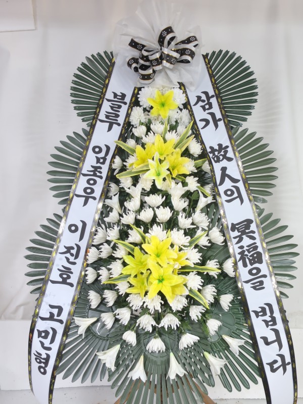 업로드 이미지