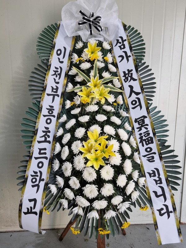 업로드 이미지