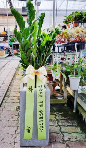 업로드 이미지