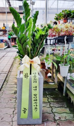 배송사진
