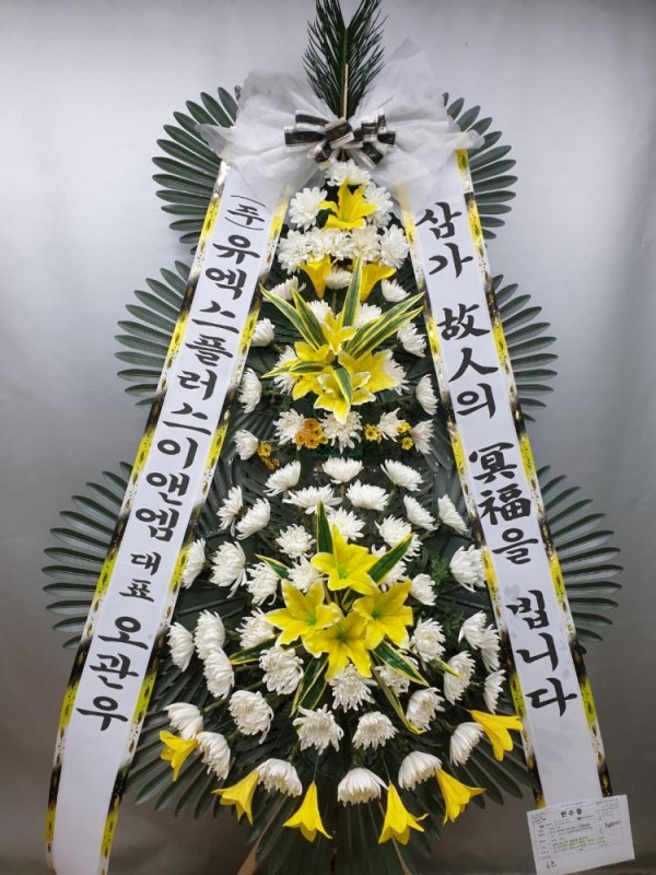 업로드 이미지