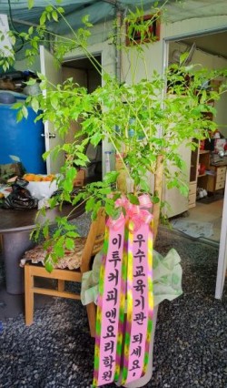 배송사진