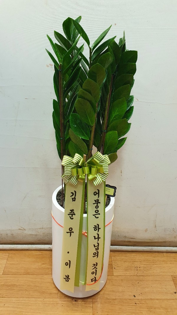 업로드 이미지
