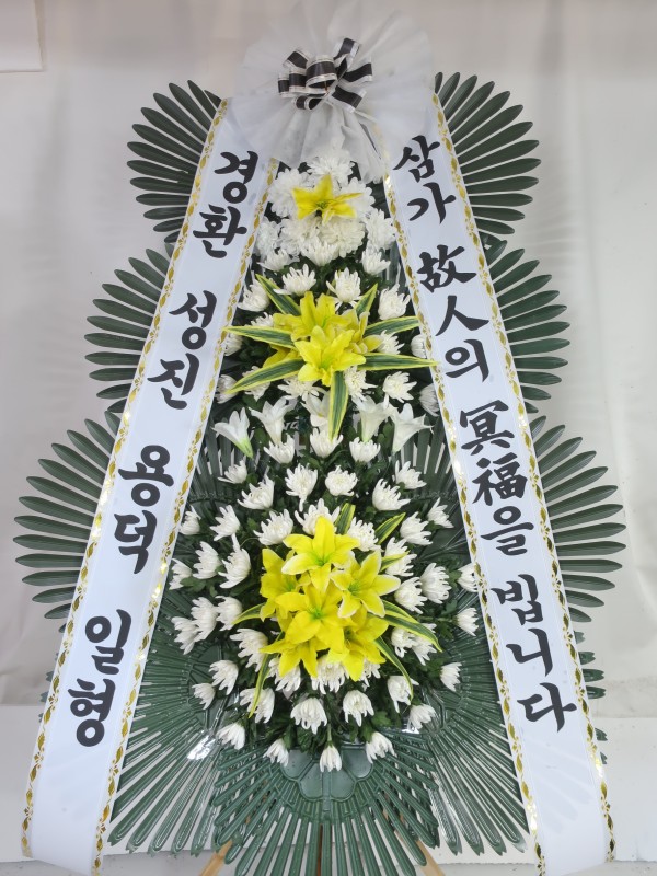 업로드 이미지