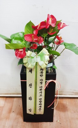 배송사진