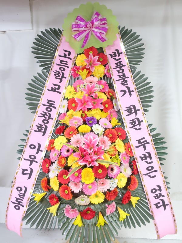 업로드 이미지