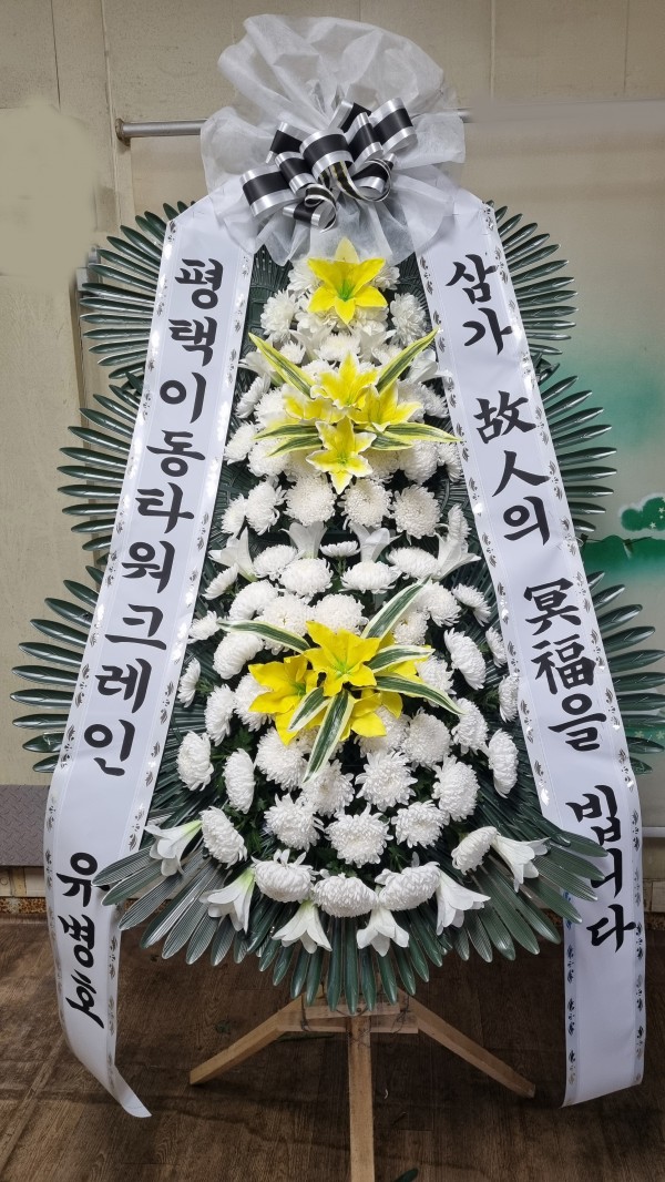 업로드 이미지