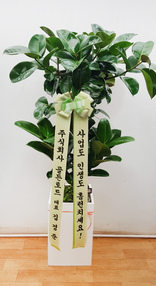 업로드 이미지